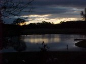 Enlarge photo 30