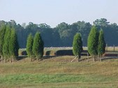 Enlarge photo 39