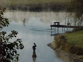 Enlarge photo 40