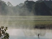 Enlarge photo 41