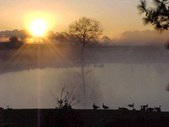 Enlarge photo 33