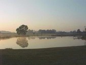 Enlarge photo 45