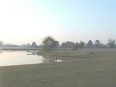 Enlarge photo 46