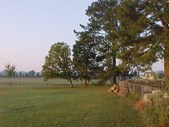Enlarge photo 48
