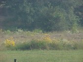 Enlarge photo 53