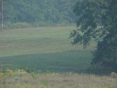 Enlarge photo 54