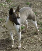 Enlarge photo 4