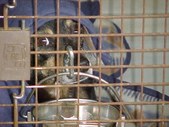 Enlarge photo 9