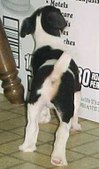 Enlarge photo 31