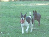 Enlarge photo 4