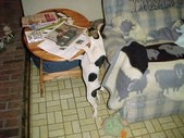 Enlarge photo 13