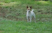 Enlarge photo 2