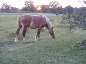 Enlarge photo 18