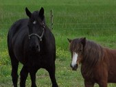 Enlarge photo 14