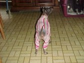 Enlarge photo 18