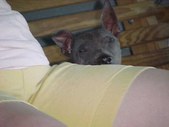 Enlarge photo 29