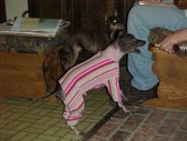 Enlarge photo 15