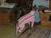 Enlarge photo 16