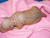 Enlarge photo 15