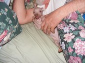 Enlarge photo 6