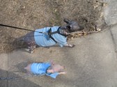 Enlarge photo 3