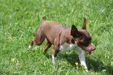 Enlarge photo 3