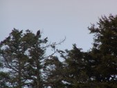 Enlarge photo 105