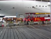 Enlarge photo 187