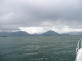 Enlarge photo 115