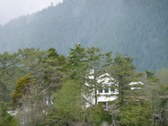 Enlarge photo 106