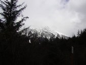 Enlarge photo 55