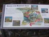 Enlarge photo 59