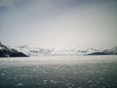 Enlarge photo 94