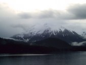 Enlarge photo 49