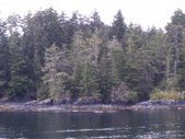 Enlarge photo 104