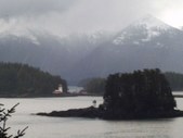 Enlarge photo 111