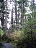 Enlarge photo 134