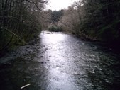 Enlarge photo 137