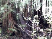 Enlarge photo 136