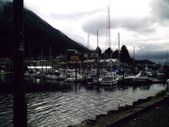Enlarge photo 157