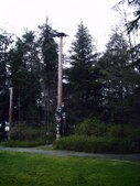 Enlarge photo 161