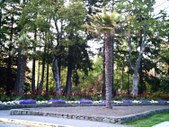 Enlarge photo 188