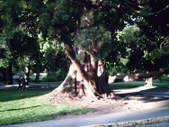 Enlarge photo 189