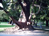 Enlarge photo 190