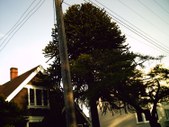 Enlarge photo 191