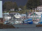 Enlarge photo 129
