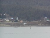 Enlarge photo 54