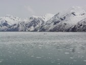 Enlarge photo 85