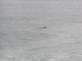 Enlarge photo 143