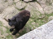 Enlarge photo 17
